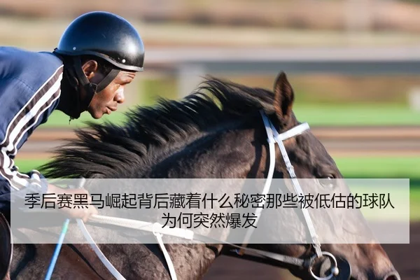 ji-hou-sai-hei-ma-jue-qi-bei-hou-cang-zhe-shen-me-mi-mi-na-xie-bei-di-gu-de-qiu-dui-wei-he-tu-ran-bao-fa-3-487.jpg