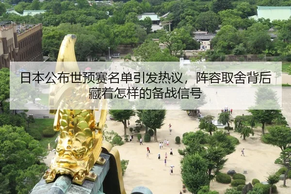 日本公布世预赛名单引发热议，阵容取舍背后藏着怎样的备战信号
