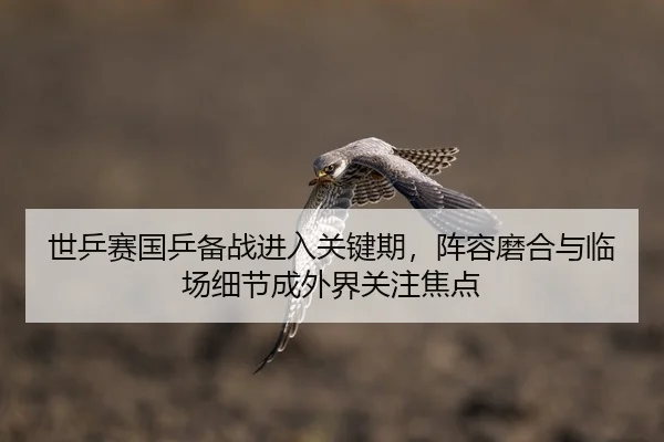 shi-ping-sai-guo-ping-bei-zhan-jin-ru-guan-jian-qi-zhen-rong-mo-he-yu-lin-chang-xi-jie-cheng-wai-jie-guan-zhu-jiao-dian-2-339.jpg
